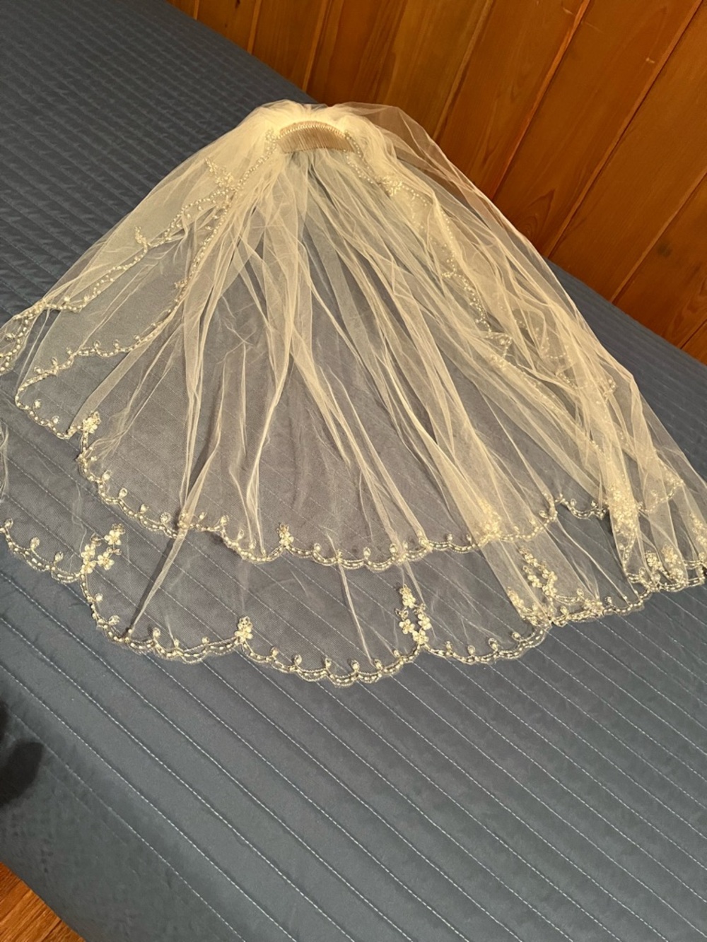 Beaded Edge Bridal Veil in Ivory